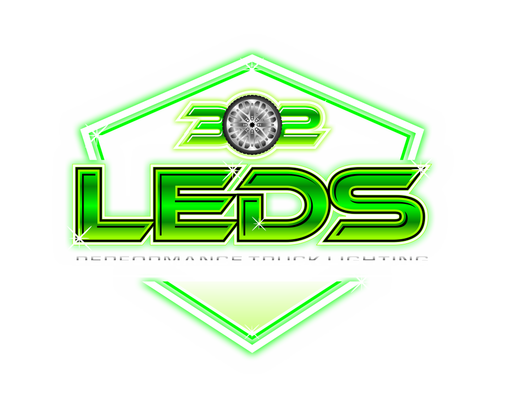 302 LEDS logo